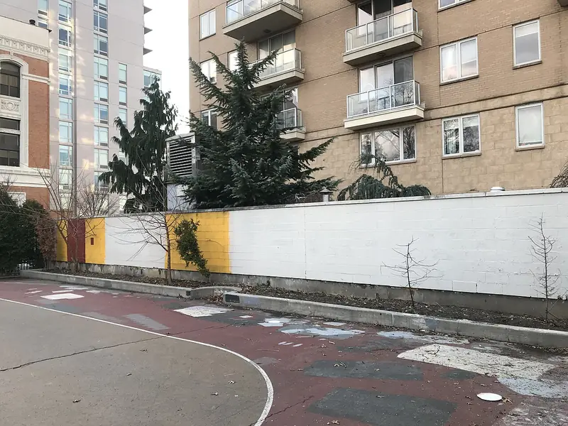 Washington Skate Park